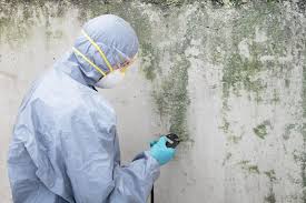 Mold Odor Removal Services in Greensburg, PA